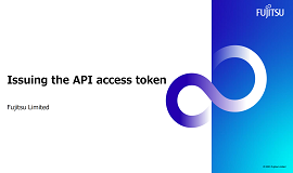 Issuing the API access token